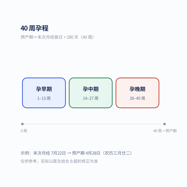 40 周孕程横轴:孕早期 / 中期 / 晚期分界(13 周、27 周)