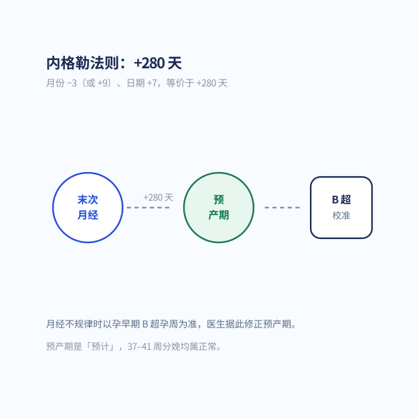 内格勒法则示意:末次月经 + 280 天 = 预产期